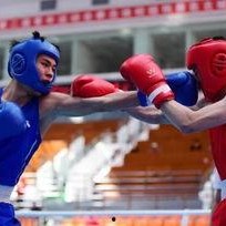 吃瓜娱乐拳击比赛,吃瓜群众眼中的精彩对决